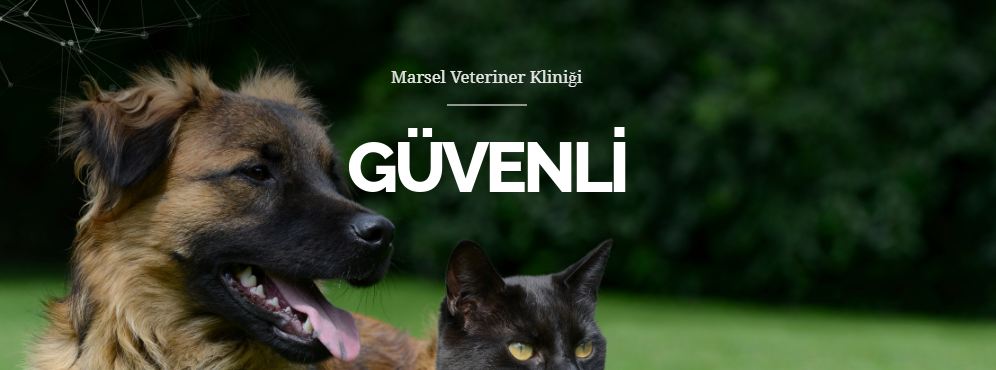Marsel Veteriner Polikliniği