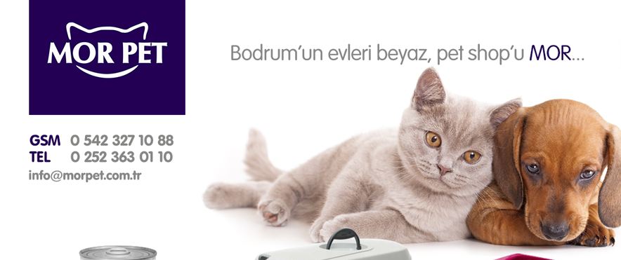 Mor Pet