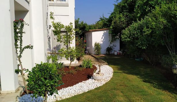 Seed Tarım