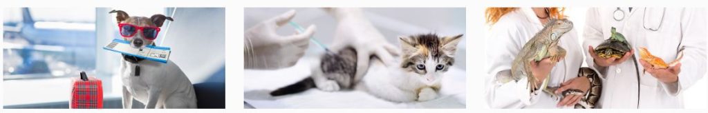 Sirius Veteriner Kliniği