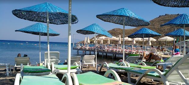 Bal Mahmut Aslı Motel