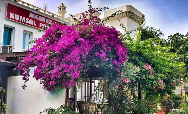 Bodrum Kumsal Pansiyon